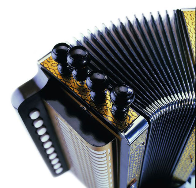 Hohner Vienna Model 114D 10 Button Diatonic Accordion In Gold Brand
