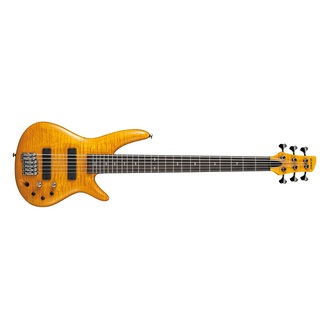 Ibanez GVB1006 AM Gerald Veasley Electric 6-String Bass Amber