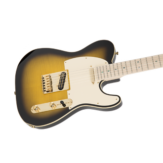 Fender Richie Kotzen Telecaster Maple Fingerboard Brown Sunburst w/ Gigbag