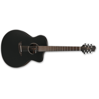 Ibanez JGM10 BSN JON GOMM Acoustic Guitar W/Case