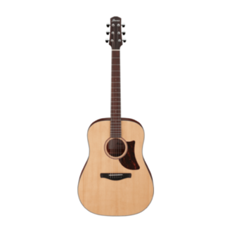 Ibanez AAD100 OPN Acoustic Guitar