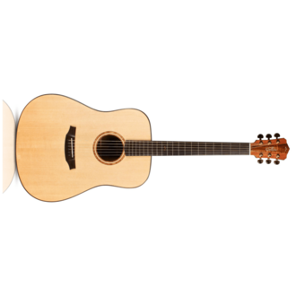 Cordoba D11 Solid Dread Acoustic Steel String Guitar Spruce/Acacia W/Hcase