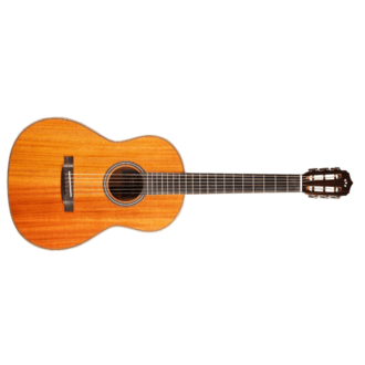 Cordoba L9-E Parlour Solid Grand Concert 12-Fr Steel String Guitar