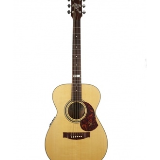 Maton Ebg808 Te Tommy Emmanuel Acoustic-Electric Guitar With Solid Wood & Case