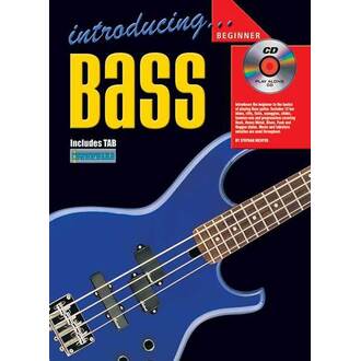 Introducing Bass Guitar Beginner