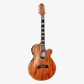 Takamine SP178ACKN Thinline Acoustic-Electric Cutaway Guitar w/Case