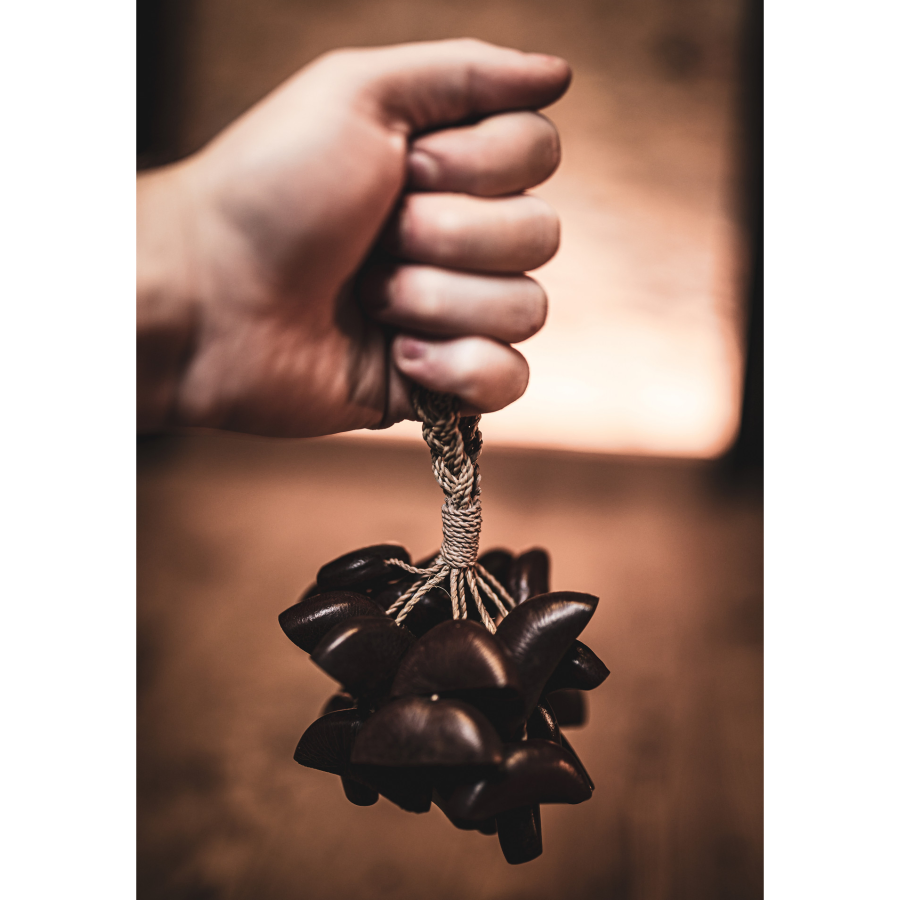 Product Supporting Image
