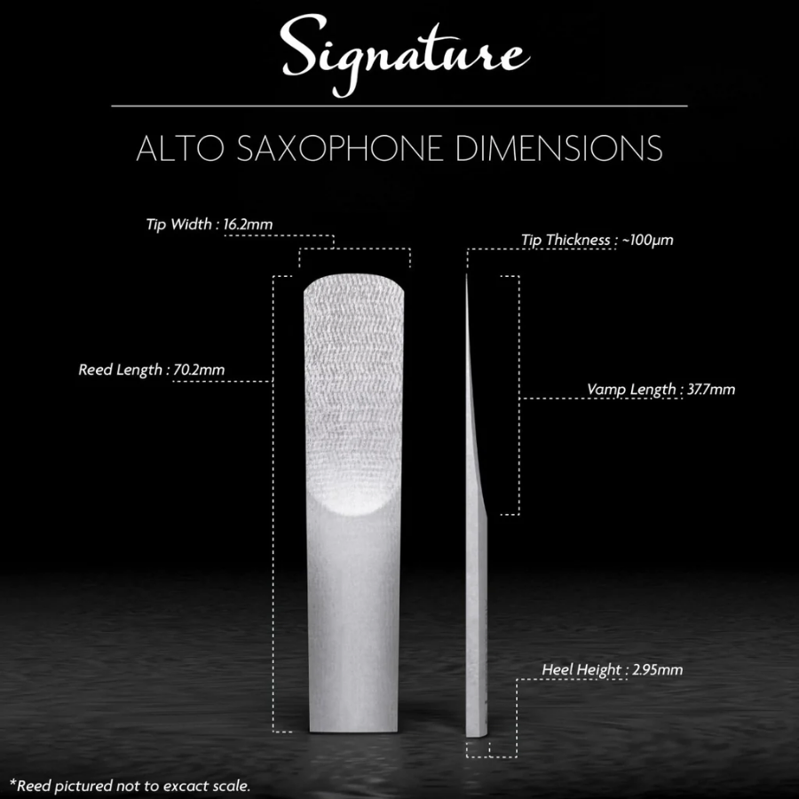 Product Supporting Image
