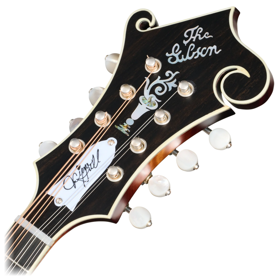 Product Supporting Image