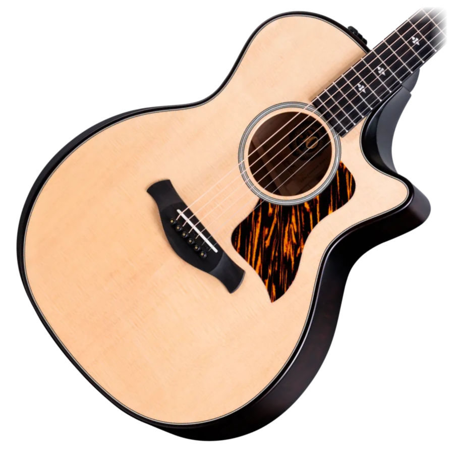 Taylor 314ce LTD Ed 50th Anniversary Builder's Edition - Natural
