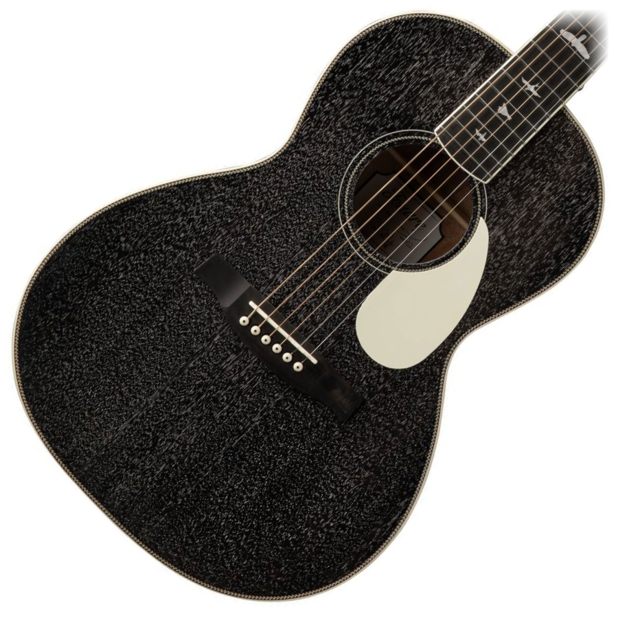 PRS P20E Dog Hair - Gloss Top - Satin Back