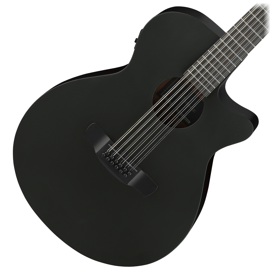 Ibanez AEG1221-BOT 12 String Acoustic-Electric Guitar - Black Out