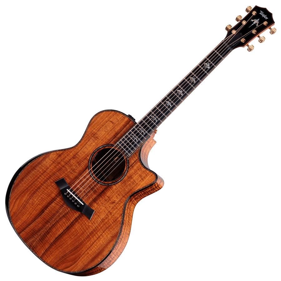 Taylor 50TH Anniversary 924CE-K Koa Limited Presentation Acoustic Guitar
