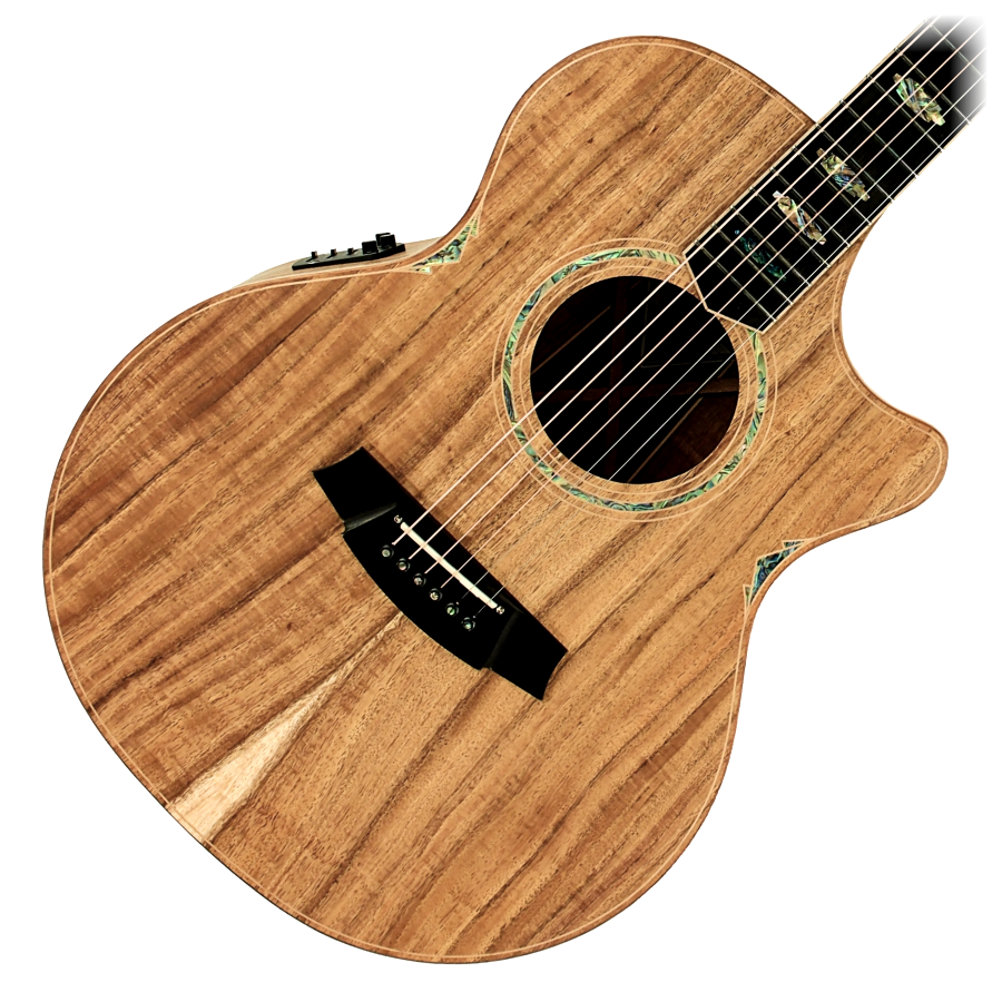 Cole Clark CCAN3EC-BLBL-AE Blackwood Grand Auditorium With Cutaway