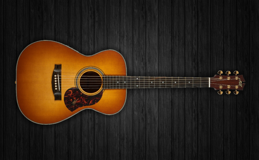 EBG-808 Nashville Tobacco Sunburst - Mooloolaba Music