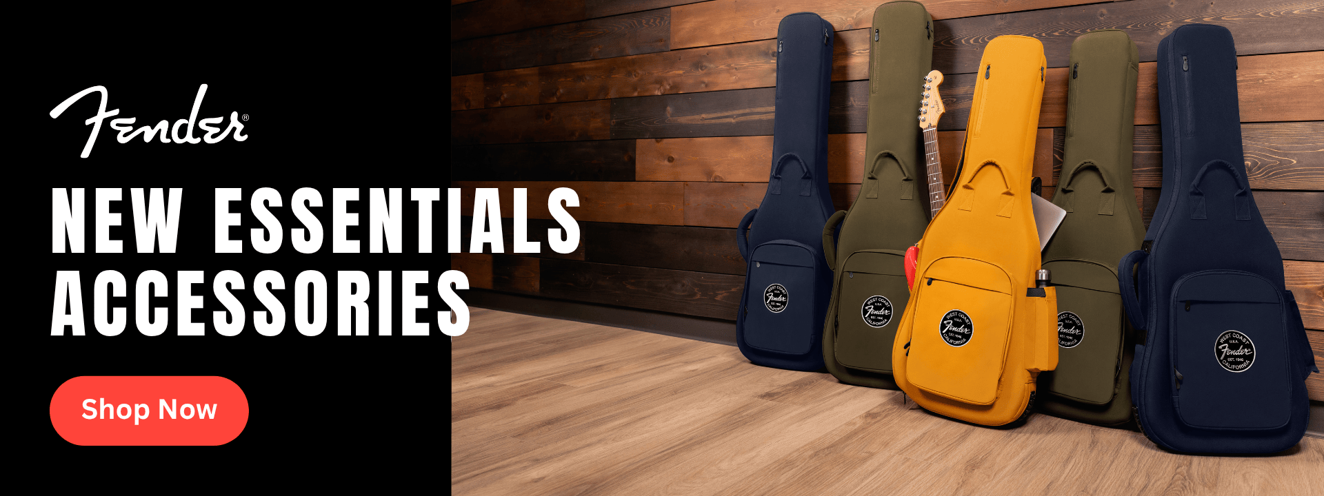 Electric Guitar Cases and bags