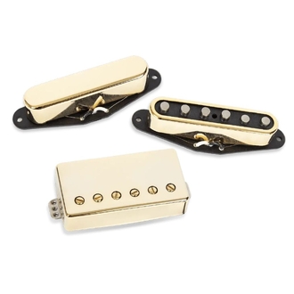 Seymour Duncan Lari Basilio Signature Tele Set With Bridge Trembucker -  Gold