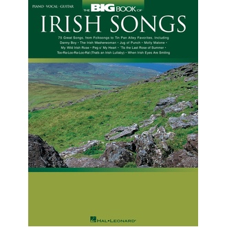 Big Book Of Irish Songs Pvg