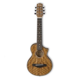 Ibanez EWP14WB OPN Acoustic Guitarlele Mini Guitar W/bag