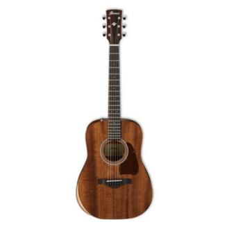 Ibanez AW54JR OPN Artwood Acoustic Guitar Open Pore Natural w/Bag
