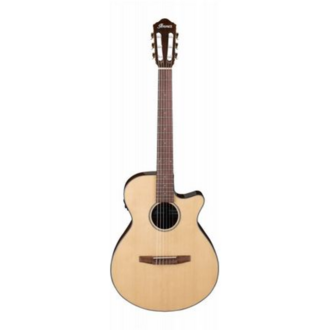 Ibanez AEG50N NT Classical Acoustic-Electric Guitar Natural