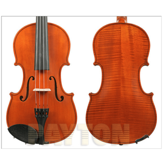 Gliga I 4/4 Violin Outfit Antique Finish w/Pirastro Strings