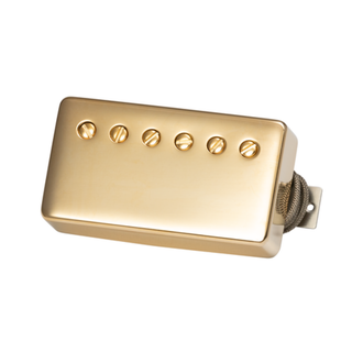 Gibson Custombucker Plus Unpotted, 2 Conductor - Gold