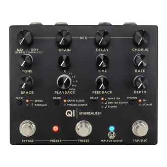 Walrus Audio Qi Etherealizer- Black