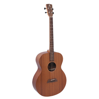 Ashbury AT-24 4 String Tenor Guitar
