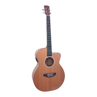 Ashbury Lindisfarne Tenor Guitar GDAE