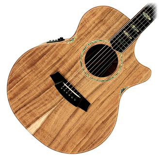 Cole Clark CCAN3EC-BLBL-AE Blackwood Grand Auditorium With Cutaway