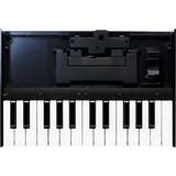 Roland Boutique K-25m Keyboard Unit for Boutique Series