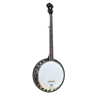 Saga SS-3 Traditional 5-String with Resonator Banjo in bag