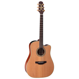 Takamine TEN10C Natural Series Dreadnought Acoustic Electric, Cutaway
