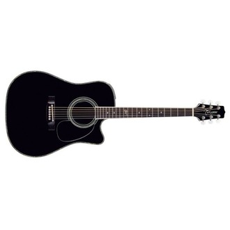 Takamine SW341SC Steve Wariner Signature Acoustic-Electric Guitar With Pickup Black Finish