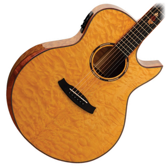 Tanglewood Winterleaf Exotic Solid Top Grand Auditorium Guitar