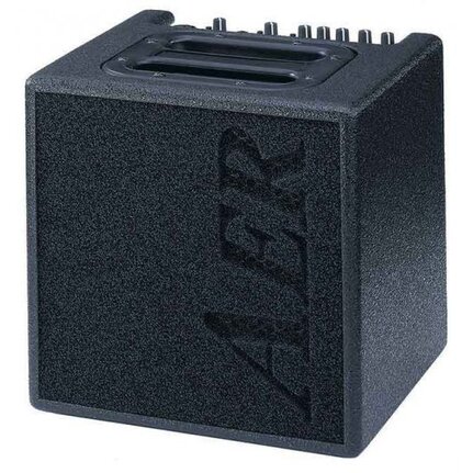 AER Alpha 40 Watt Acoustic Instrument Amplifier