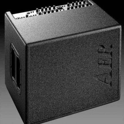 AER Domino 2 100 Watt Acoustic Instrument Amplifier