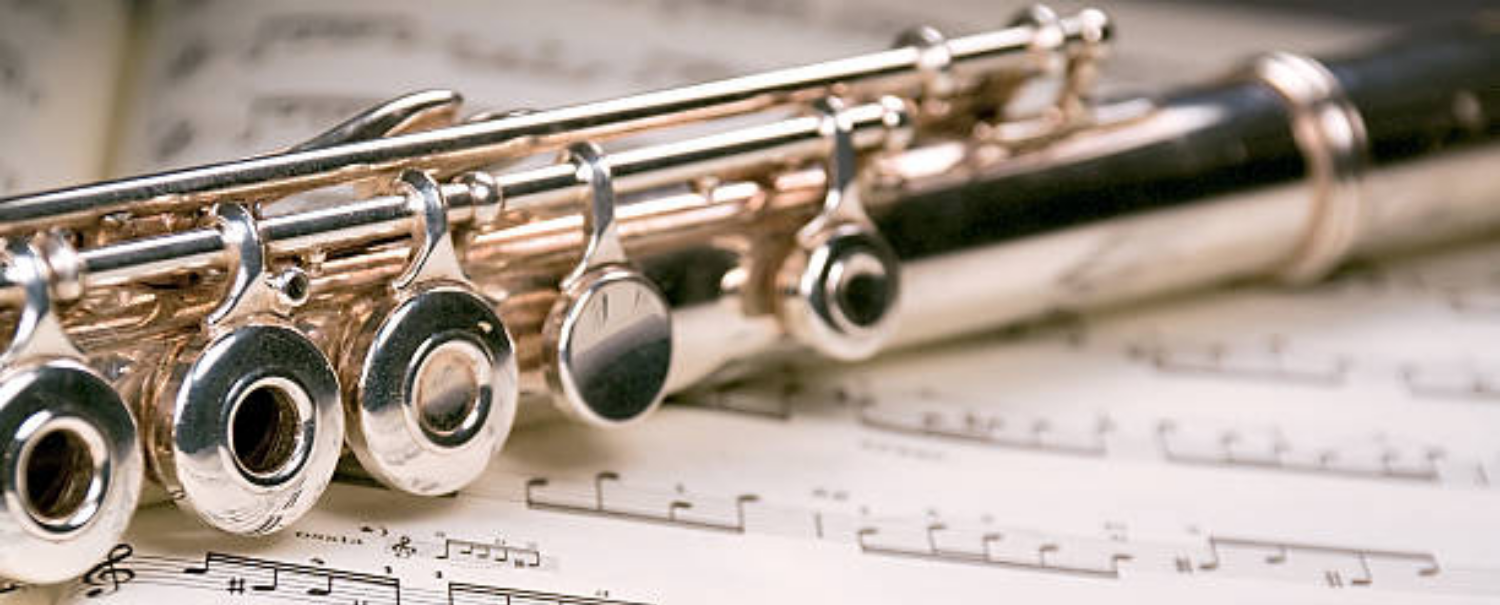 Hayley's Flute Tuition
