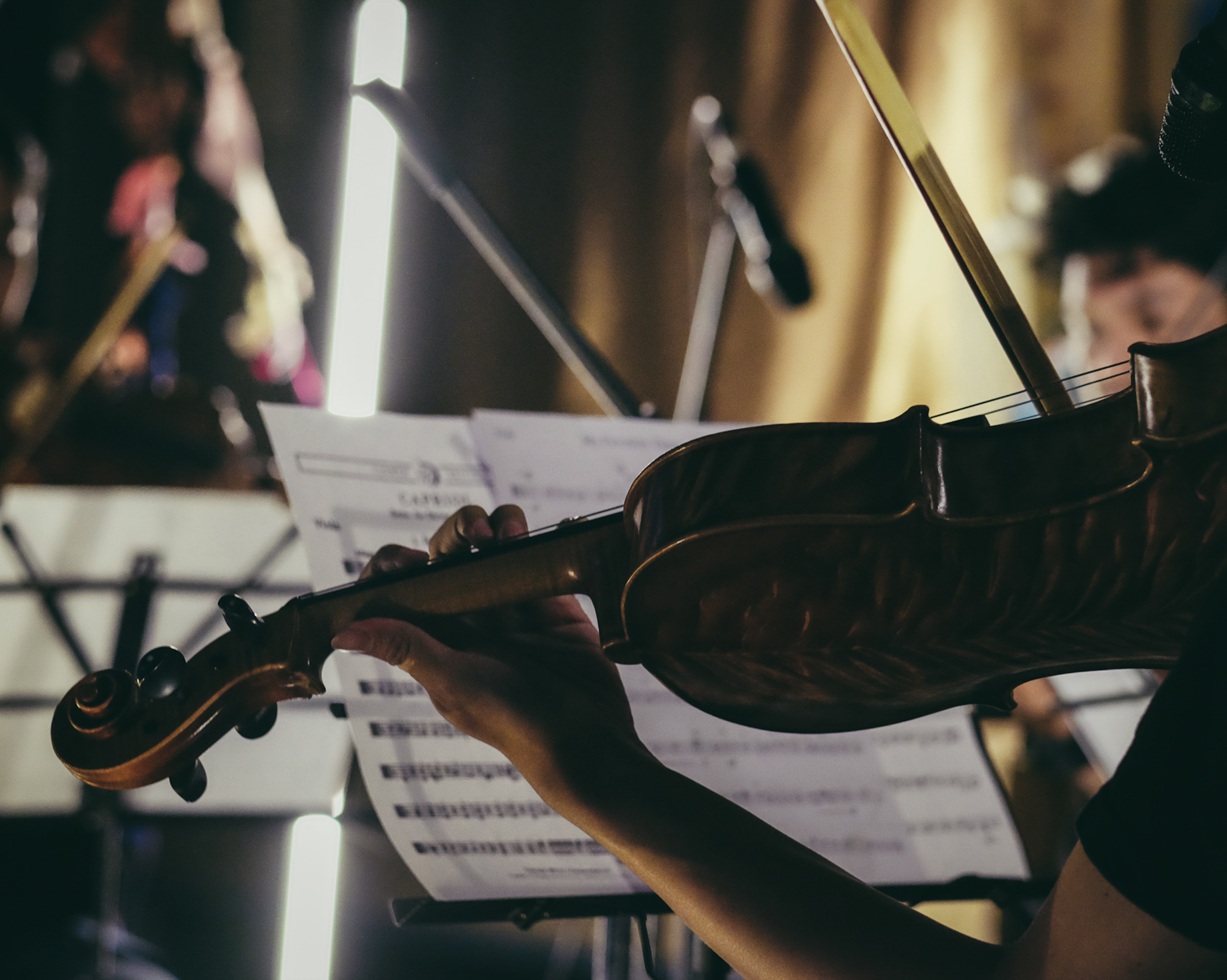  Violin | Cello | Viola Teachers